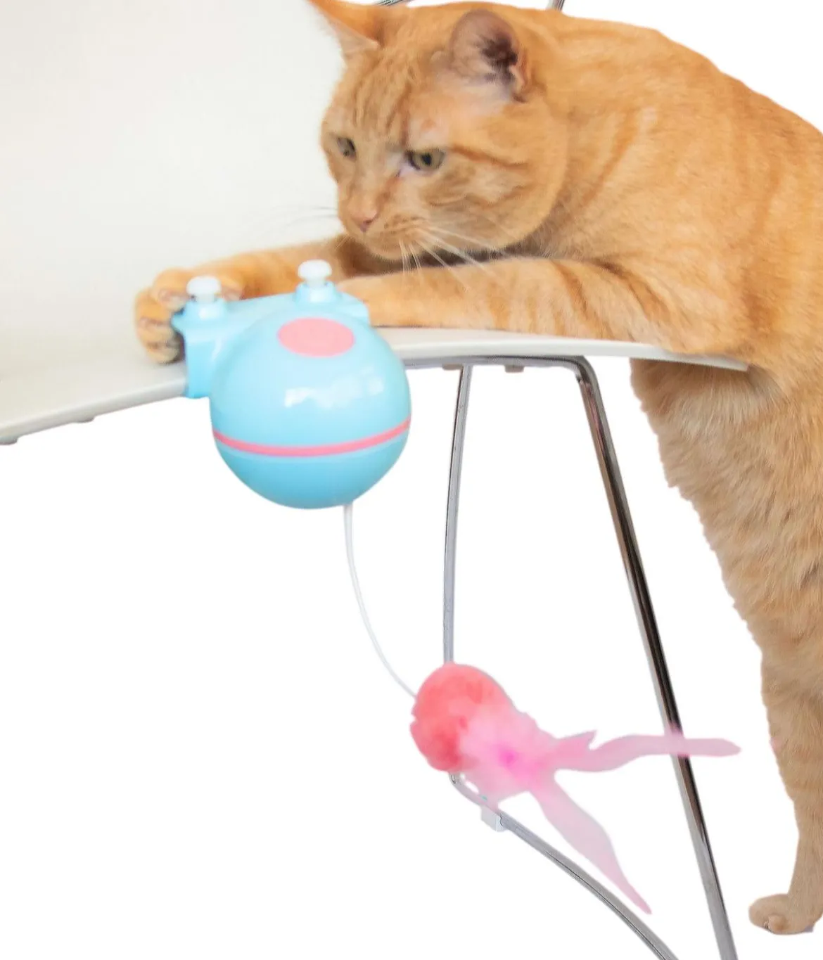 coockoo Katzenspielzeug Reckless Roxy, ca. B8,4/H10,8/T10,8 cm