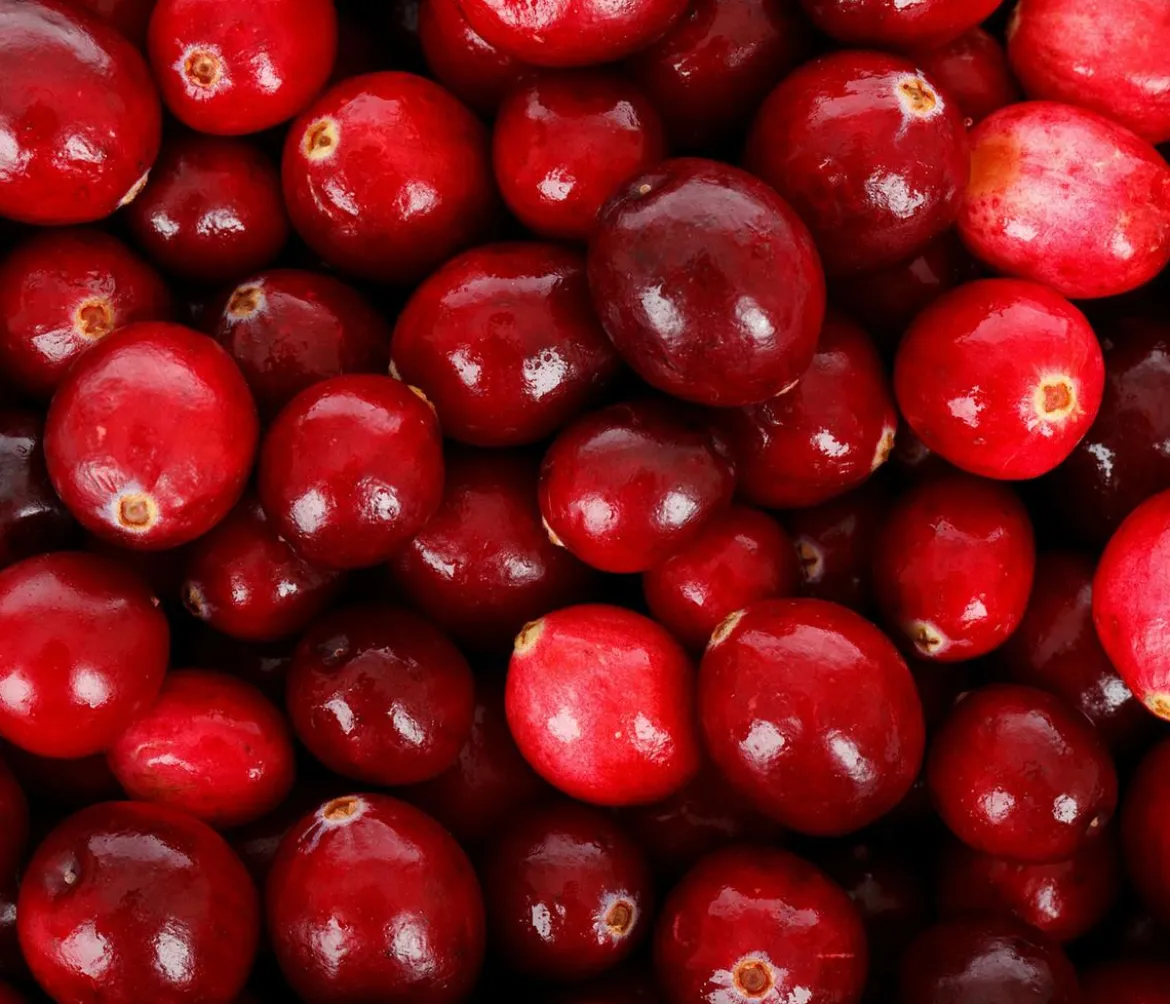 Cranberry 'Cranny'