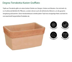 Degrea Terrakotta-Kasten Graffiato, rechteckig, terrakotta-hell