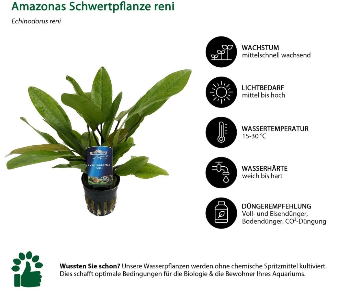 Dehner Aqua Aquarienpflanzen-Set für 80 Liter-Aquarien Einsteiger, 14-teilig