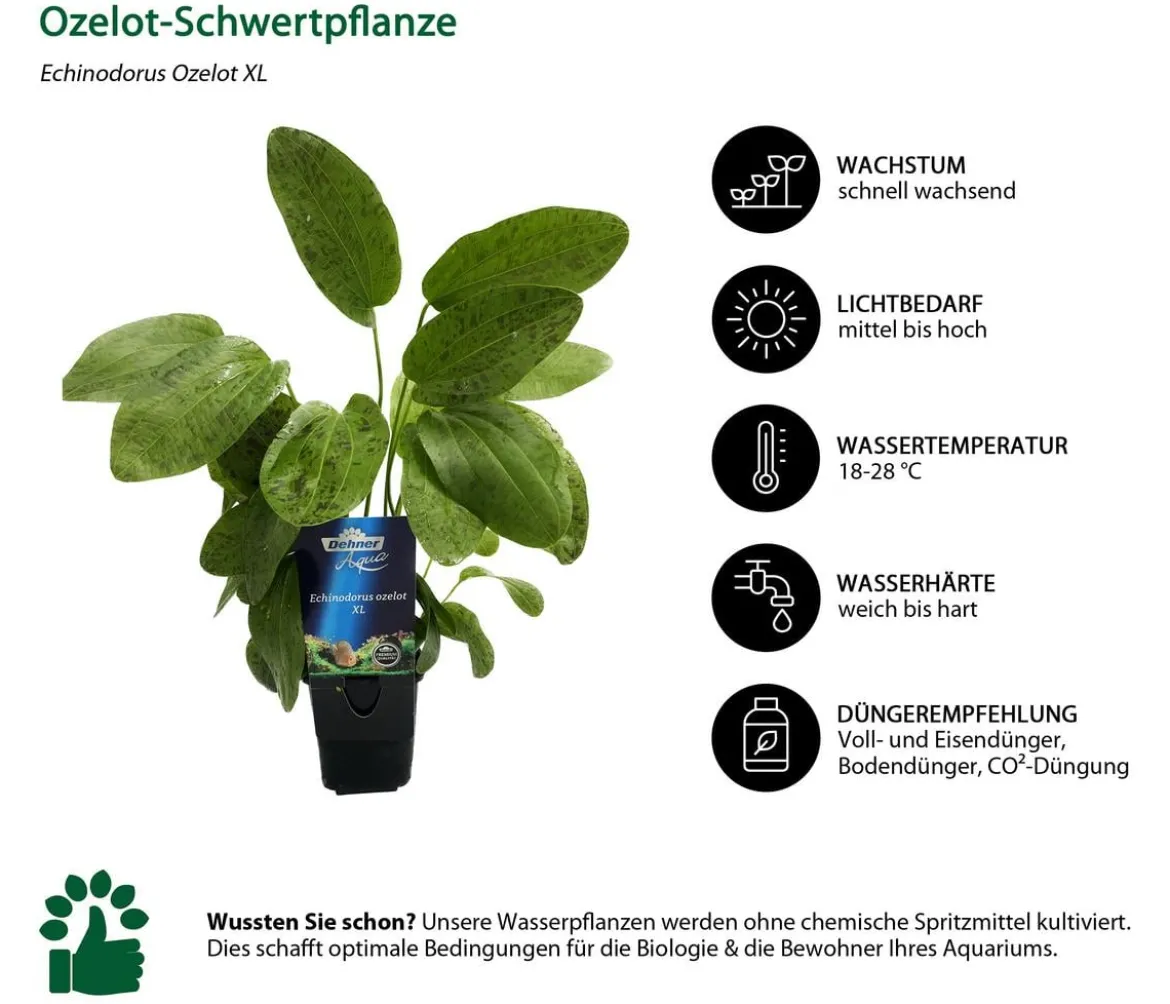 Dehner Aqua Aquarienpflanzen-Set für Dehner Aqua Start 80, 12-teilig