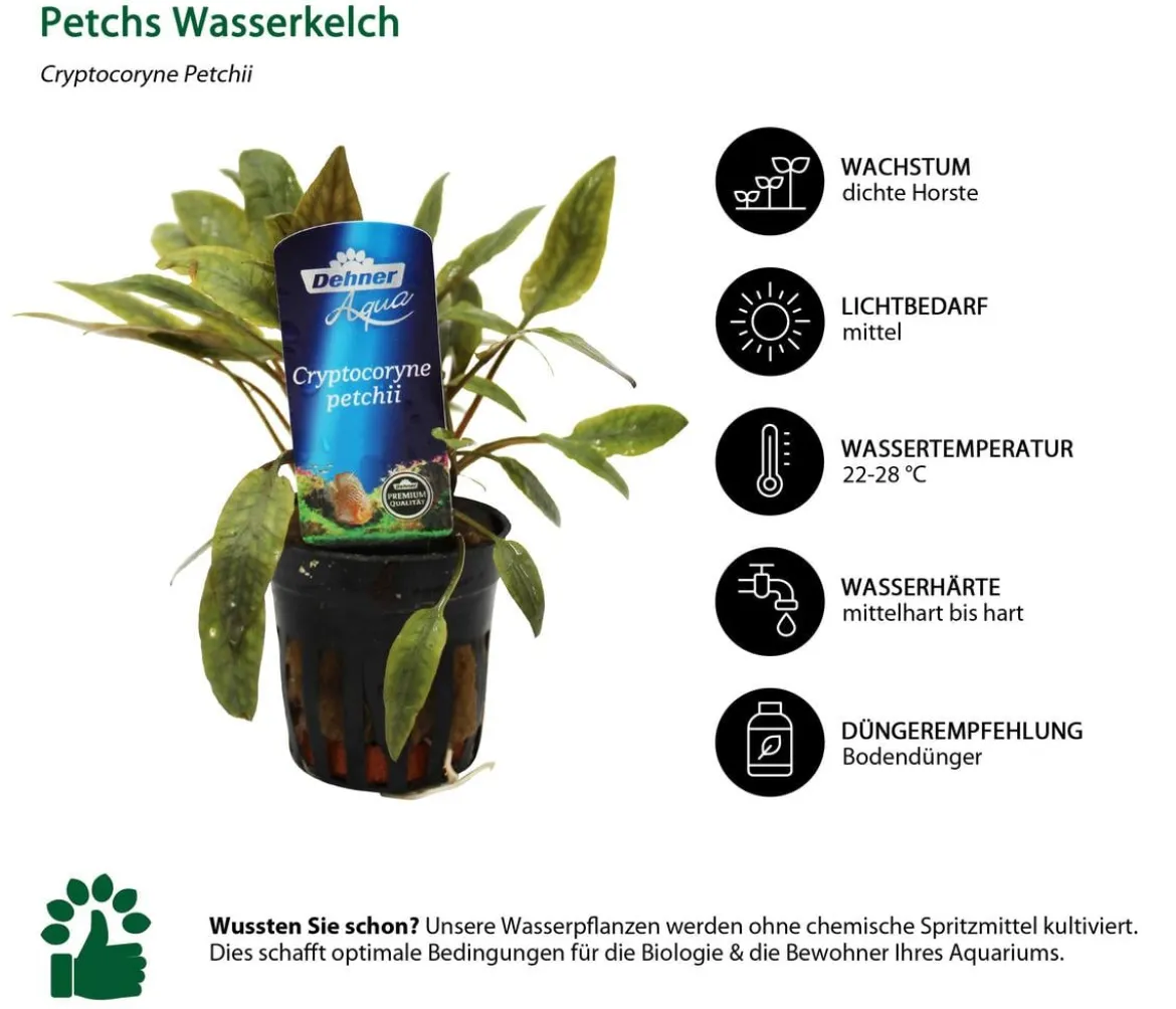 Dehner Aqua Aquarienpflanzen-Set für 60 Liter-Aquarien Einsteiger, 12-teilig