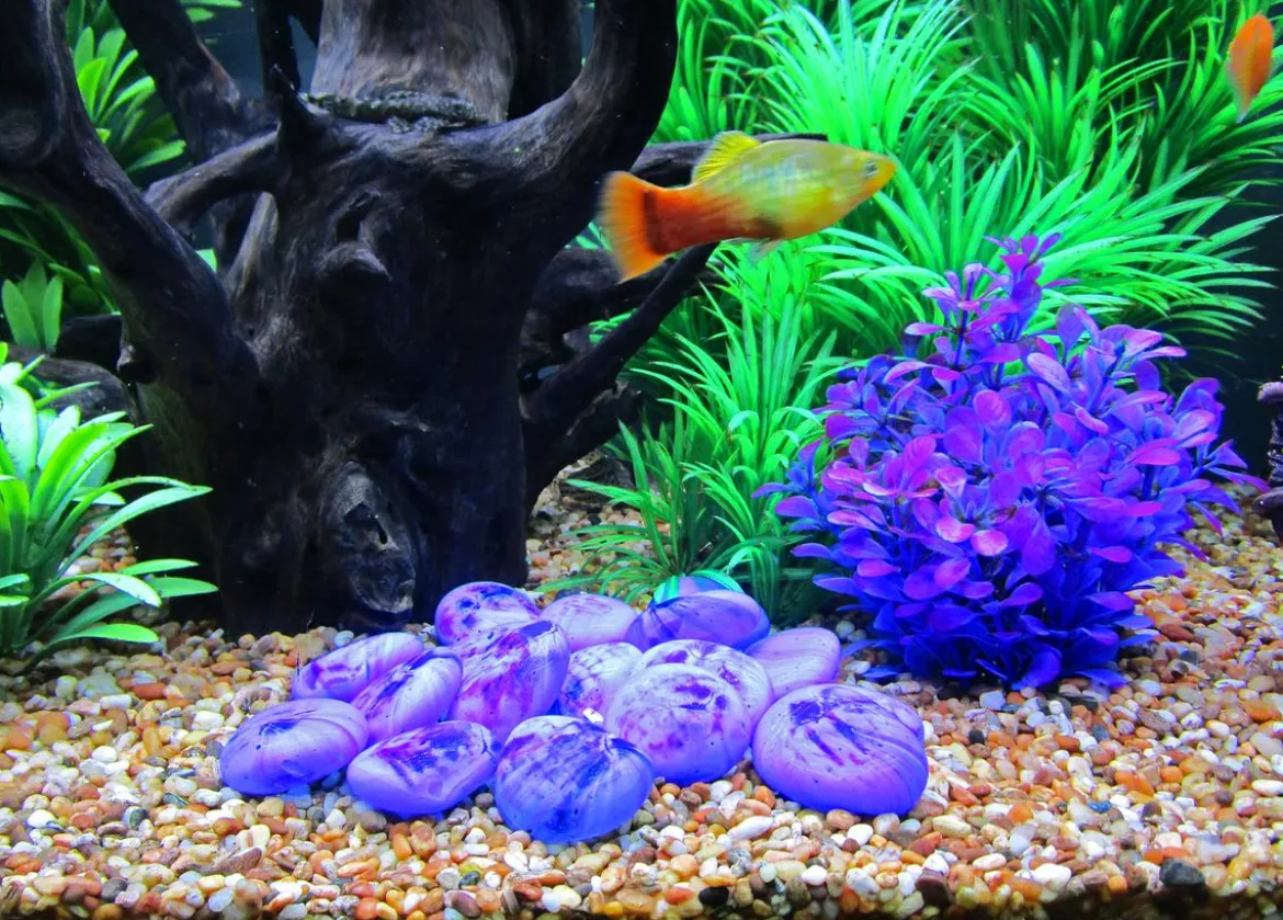 Dehner Aqua Aquariumdeko Glas-Steine, 750 g