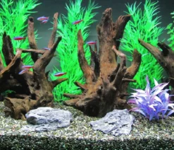 Dehner Aqua Corbo-Wurzel nano, ca. B14/H20/T12 cm