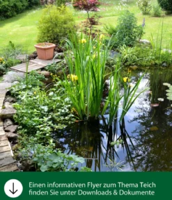 Dehner Aqua Gartenteichtorf, 10 l