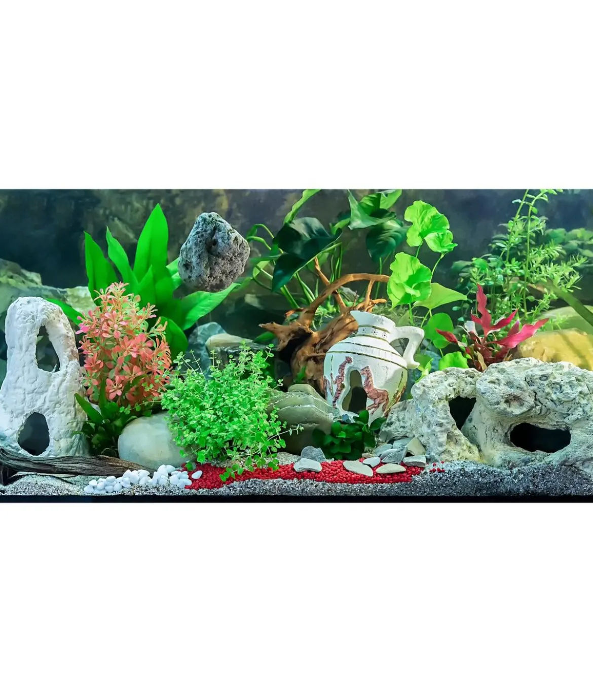 Dehner Aqua Mangrovenwurzel X-large