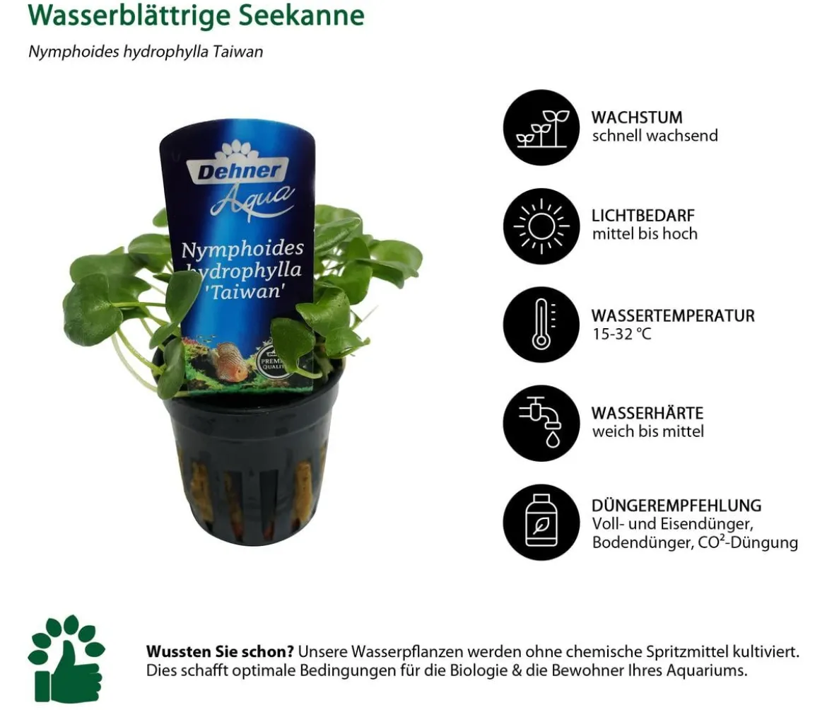 Dehner Aqua Premium Aquarienpflanzen-Set für JUWEL® AQUARIUM Rio 180 LED, 37-teilig