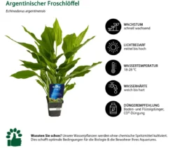 Dehner Aqua Premium Aquarienpflanzen-Set für JUWEL® AQUARIUM Rio 125 LED, 17-teilig