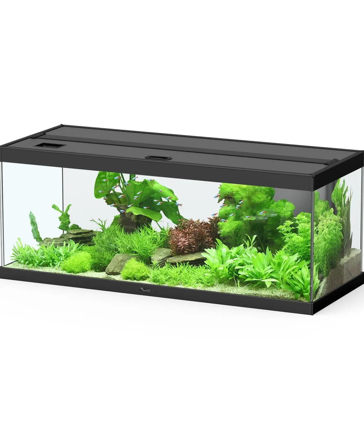 Dehner Aqua Premium Aquarium-Set ProLine 100, schwarz, 160 l, ca. B100/H40/T40 cm
