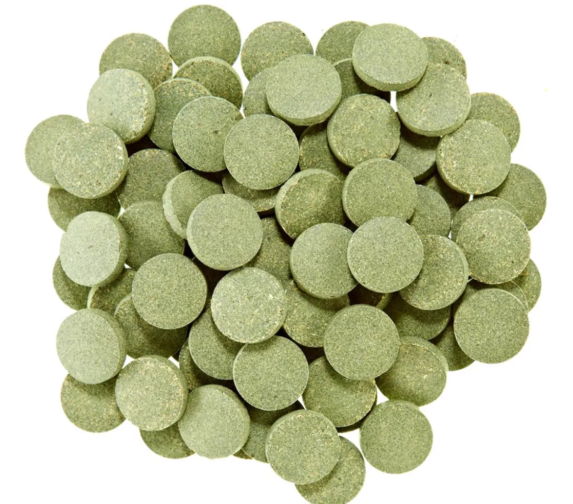 Dehner Aqua Spirulina-Tabs, 90 Stk.
