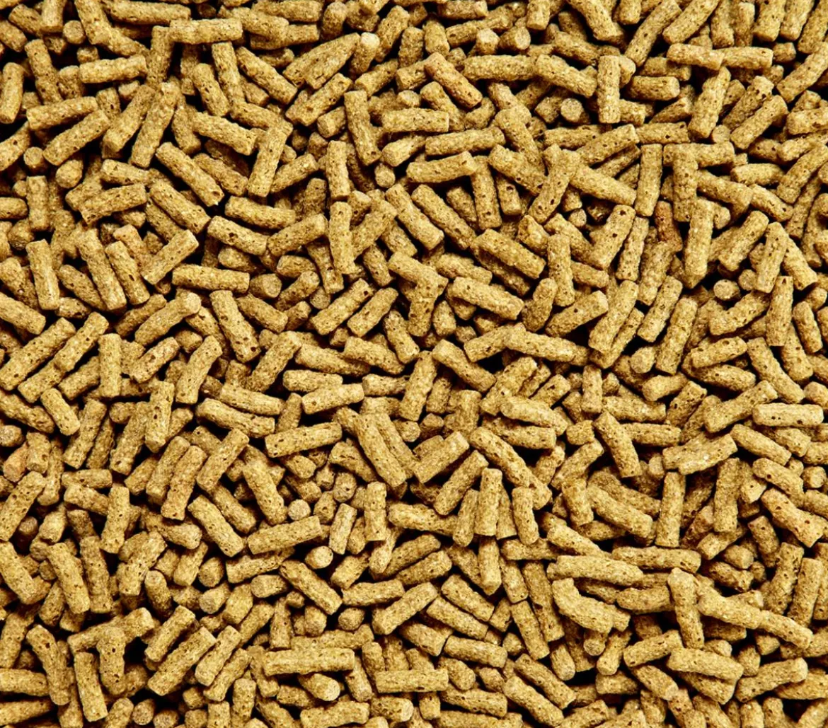 Dehner Aqua Teichfischfutter Sticks