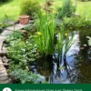 Dehner Aqua Teichschlammentferner