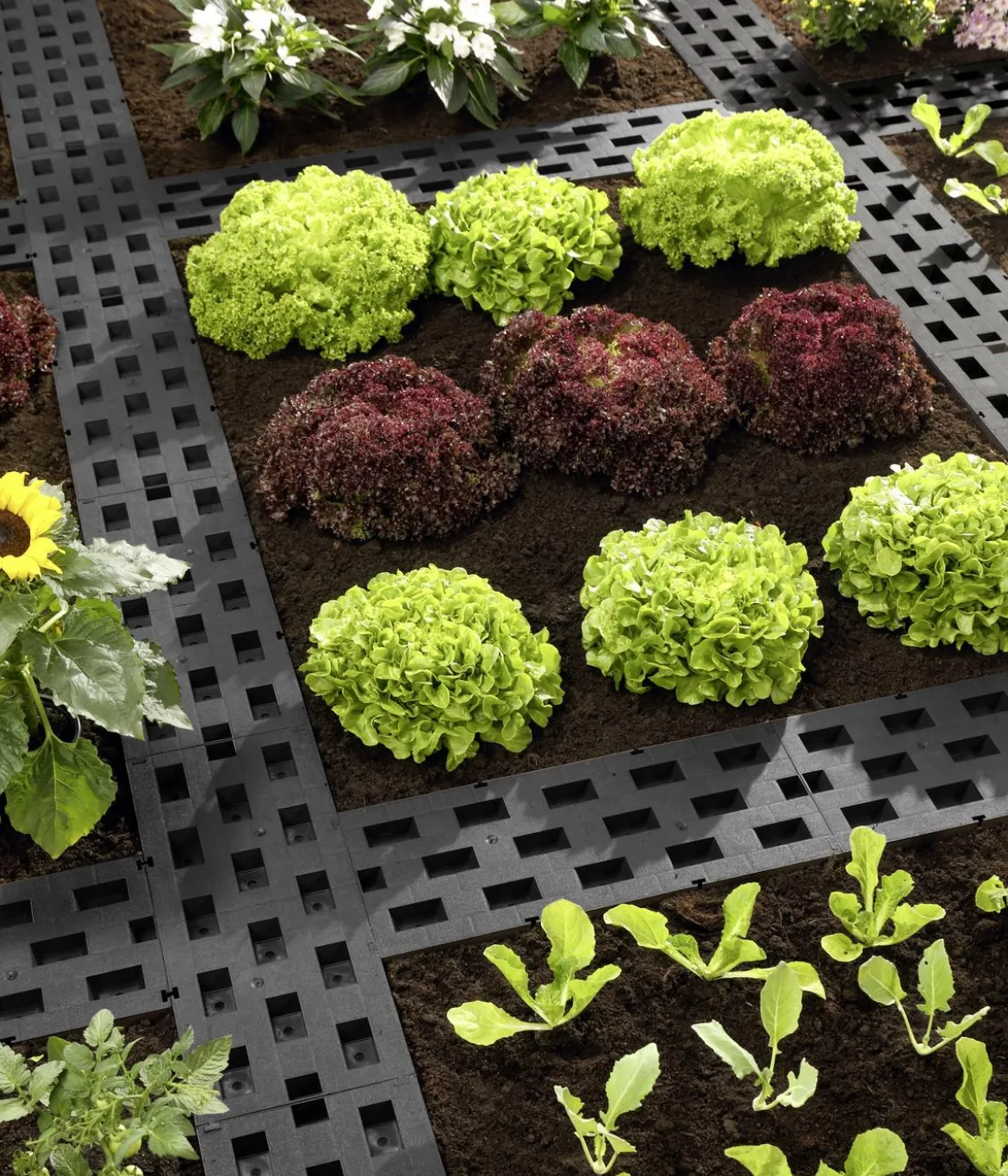 Dehner Beetplatten für den Garten, anthrazit, 5 Stk.