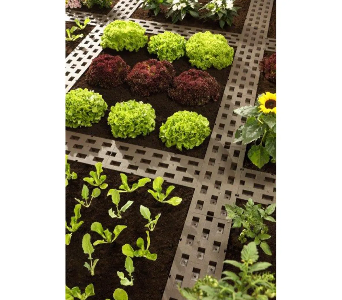 Dehner Beetplatten für den Garten, 5 Stk.