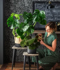 Dehner Übertopf-Set Urban Green, 2-teilig