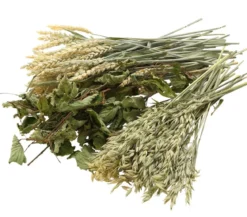 Dehner Best Nature Hafer, 75 g