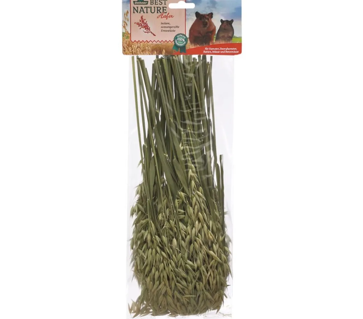 Dehner Best Nature Hafer, 75 g