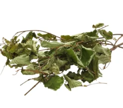 Dehner Best Nature Haselnuss, 25 g