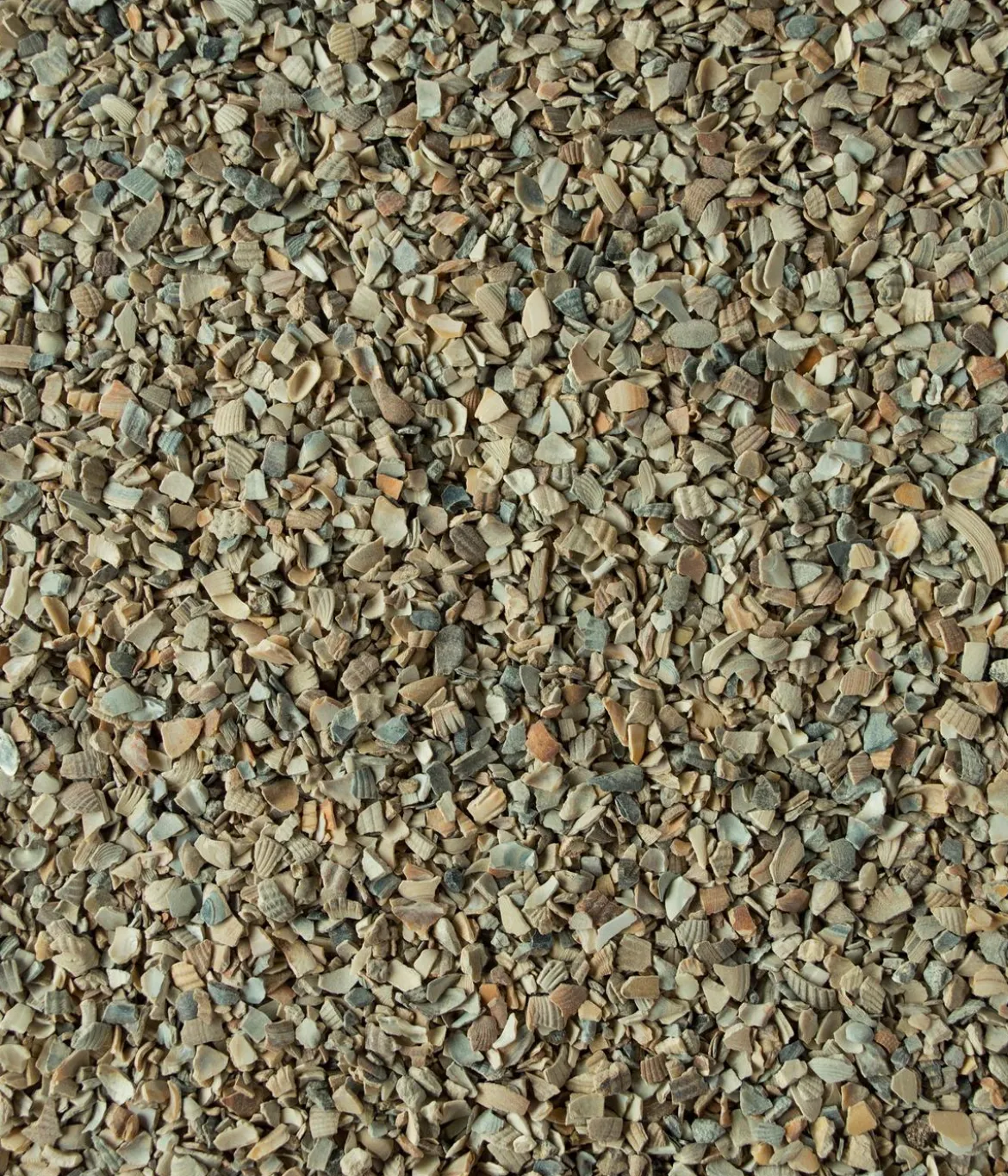 Dehner Best Nature Hühnerfutterergänzung Muschelkalk, 2,5 kg