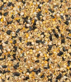 Dehner Best Nature Wachtelfutterergänzung Bio Wachtelkorn