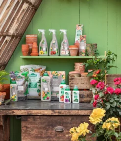 Dehner Bio Düngestäbchen Tomaten & Gemüse, 30 Stück