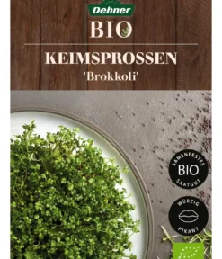 Dehner Bio-Keimsprossen 'Brokkoli'