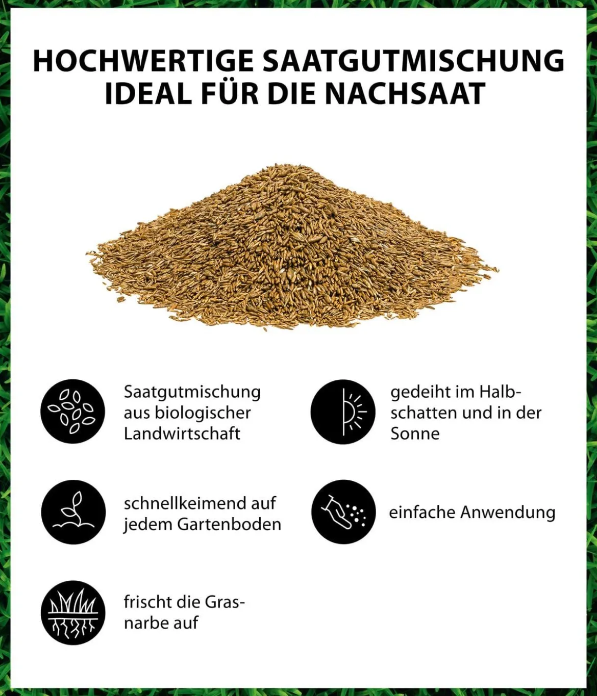Dehner Bio Rasen-Nachsaat, 500 g