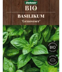 Dehner Bio-Saatgut Basilikum 'Genoveser'