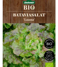 Dehner Bio-Saatgut Bataviasalat 'Luana'