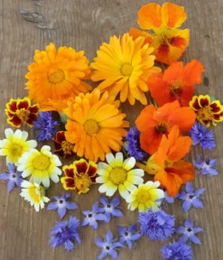 Dehner Bio-Saatgut Essbare Blüten