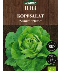 Dehner Bio-Saatgut Kopfsalat 'Summertime'