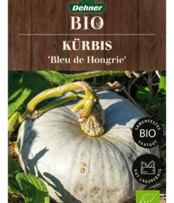 Dehner Bio-Saatgut Kürbis 'Bleu de Hongrie'