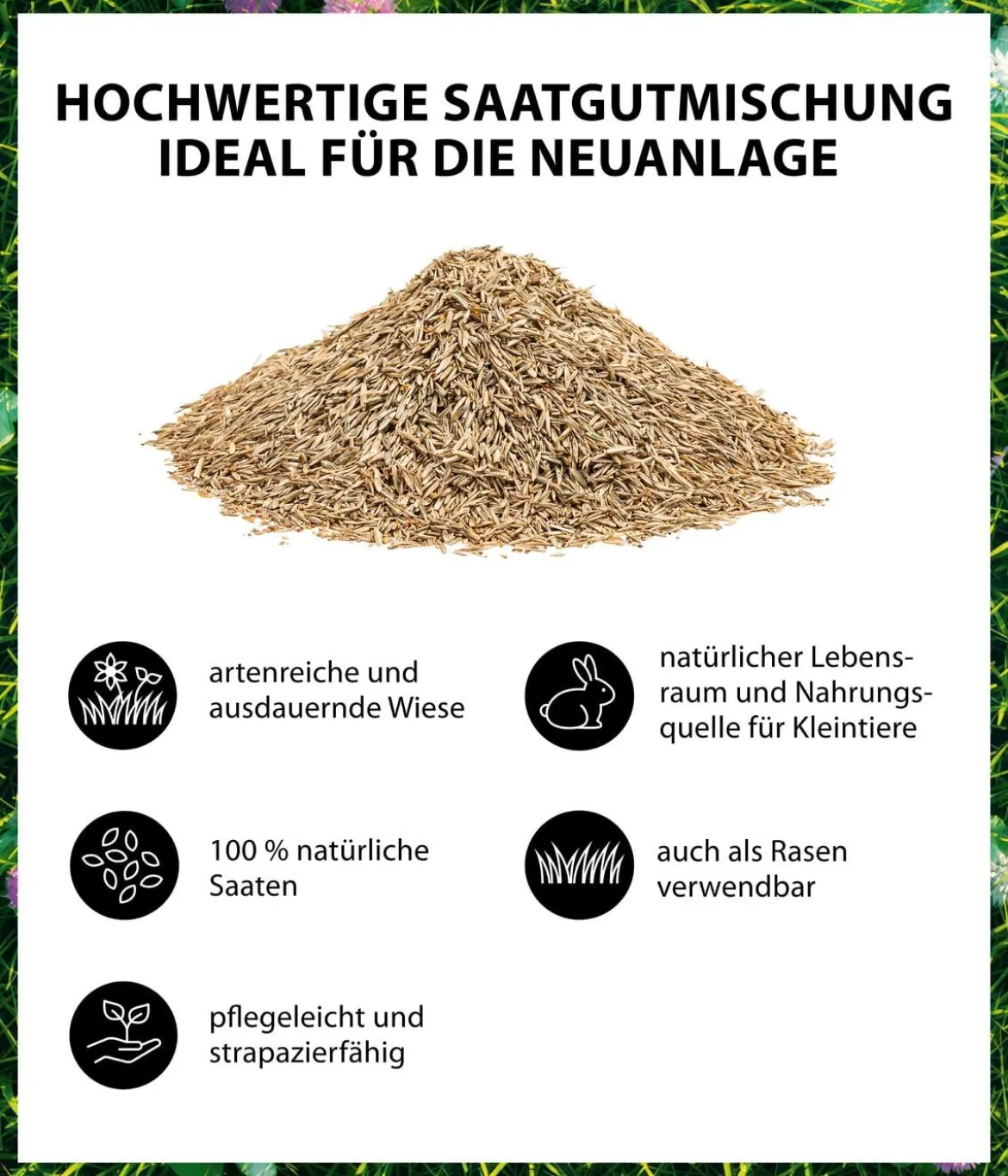 Dehner Bio Saatgut Naturwiese, 250 g