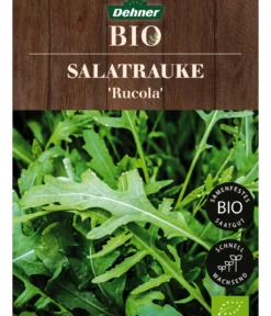 Dehner Bio-Saatgut Salatrauke 'Rucola'