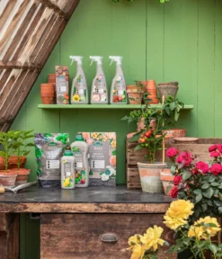 Dehner Bio Schachtelhalm- & Haferspray, 500 ml