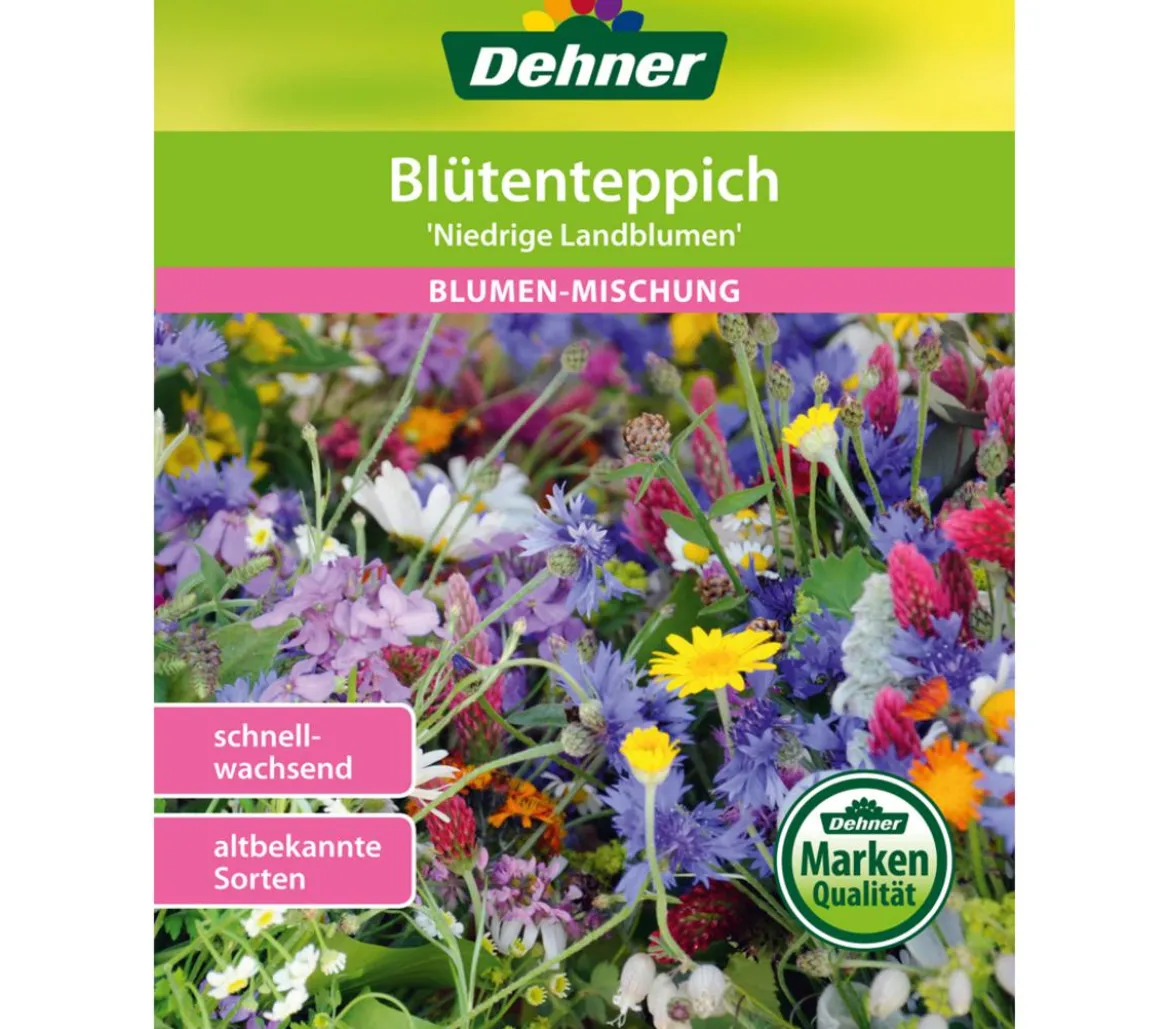 Dehner Blütenteppich 'Niedrige Landblumen'