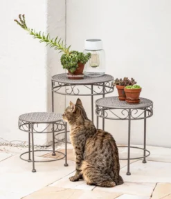 Dehner Blumenhocker Luca