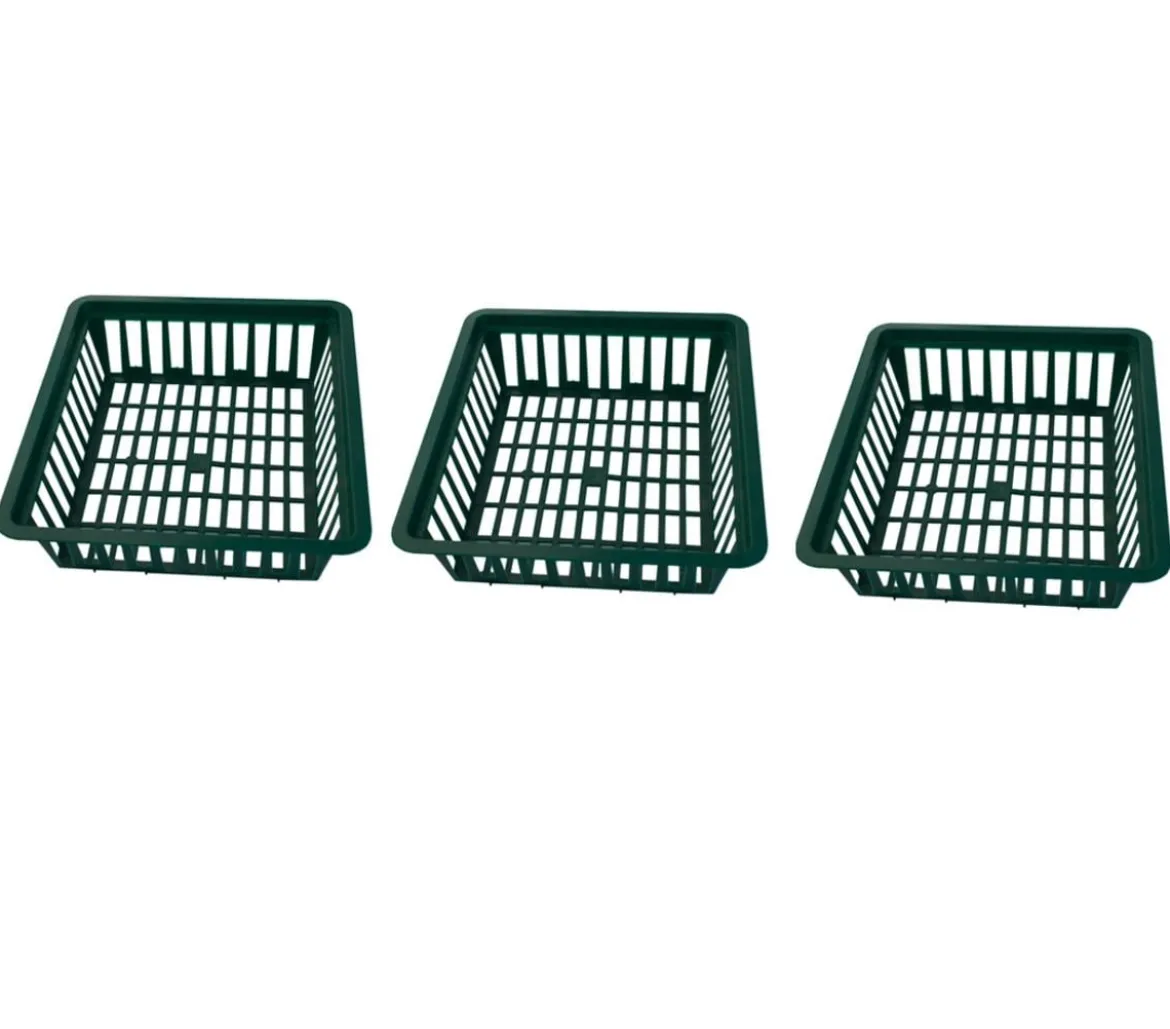 Dehner Blumenzwiebelschalen