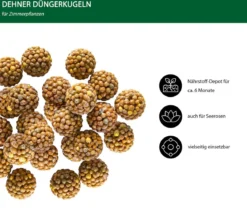 Dehner Düngerkugeln für Zimmerpflanzen, 25 Stück