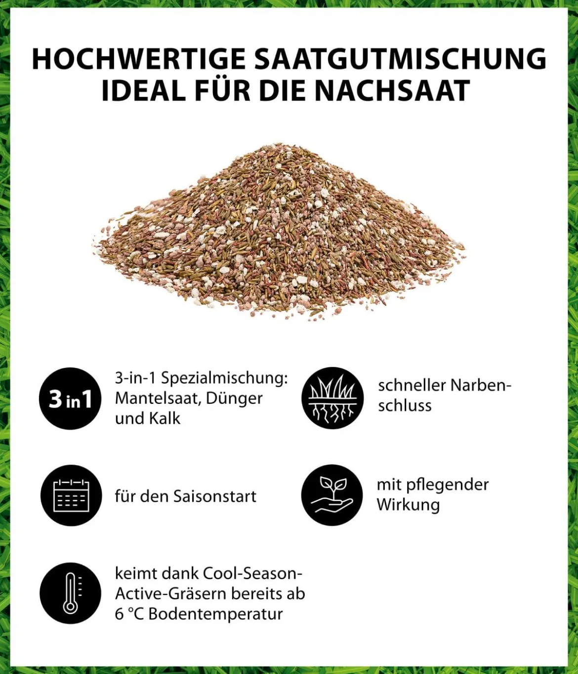 Dehner Frühjahrsrasen-Nachsaat, 750 g