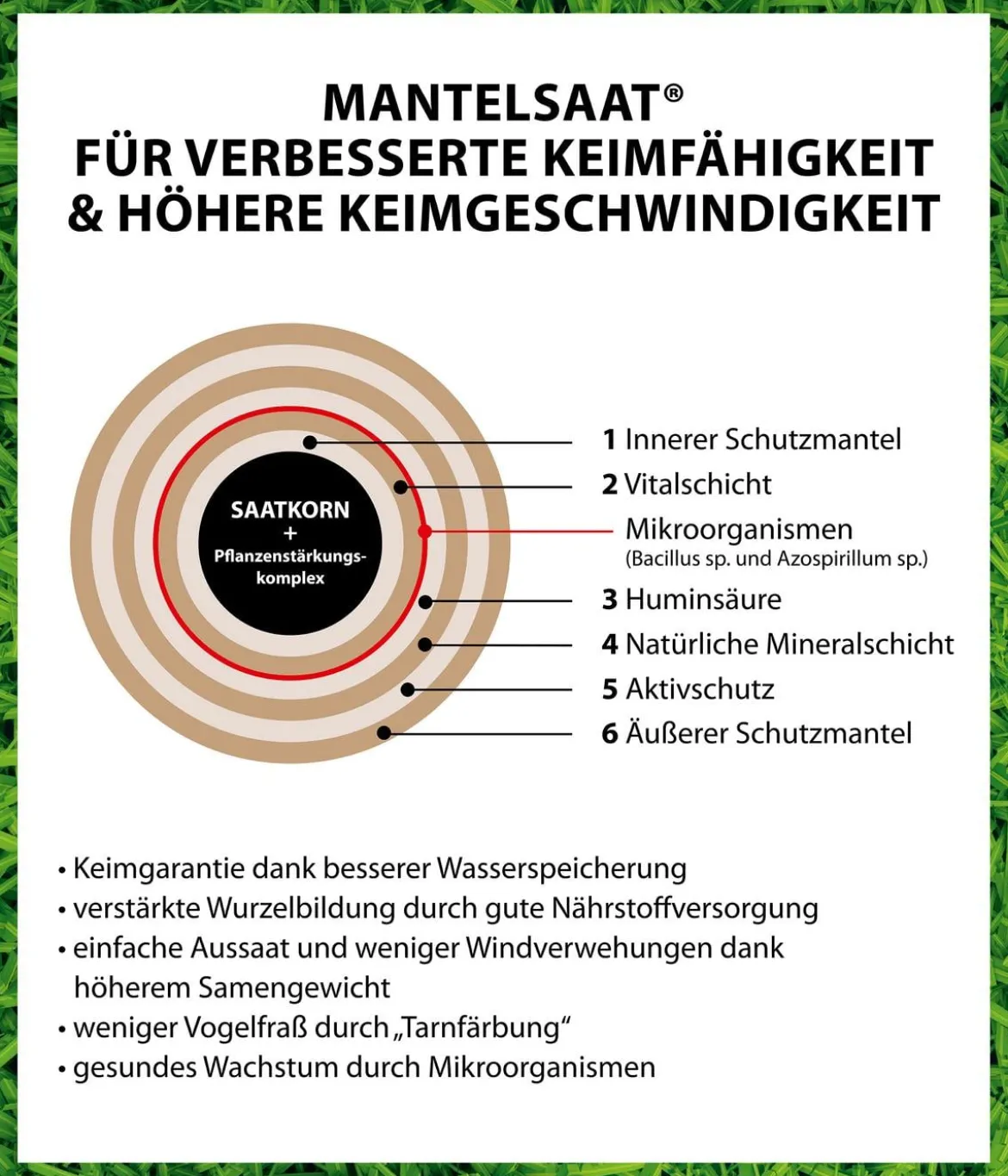 Dehner Frühjahrsrasen-Nachsaat, 750 g