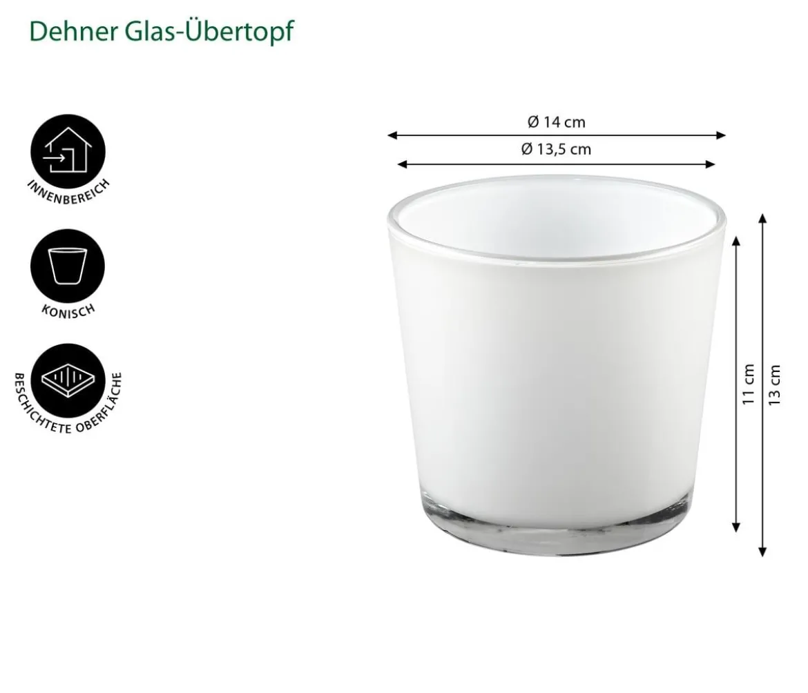 Dehner Glas-Übertopf Conner, konisch