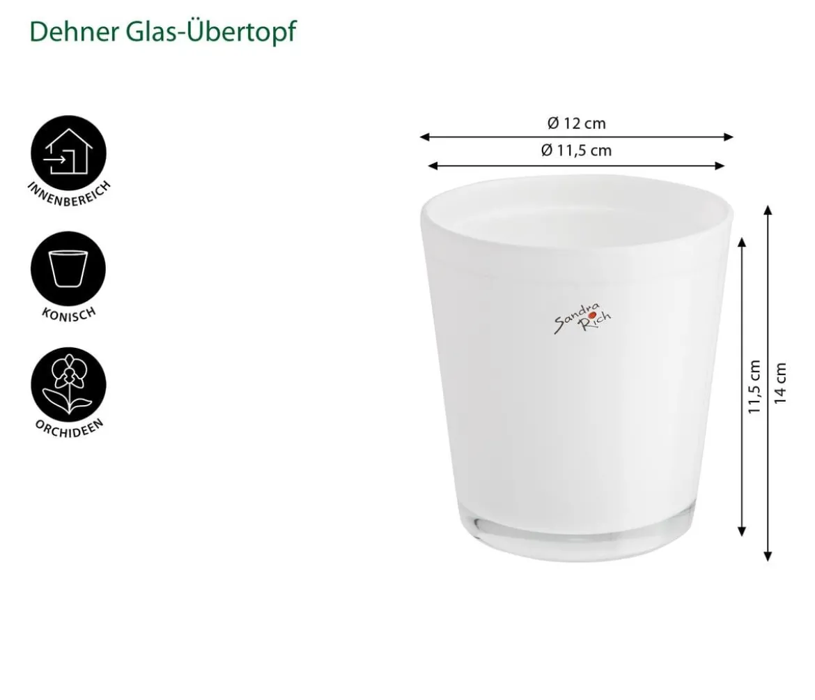 Dehner Glas-Übertopf, konisch, ca. Ø12 cm