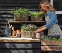 Dehner Gourmet Garten Bergbohnenkraut
