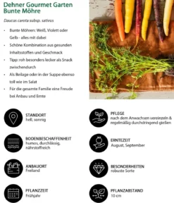 Dehner Gourmet Garten Bunte Möhre, 20er Schale