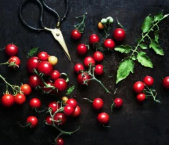 Dehner Gourmet Garten Cherrytomate, veredelt