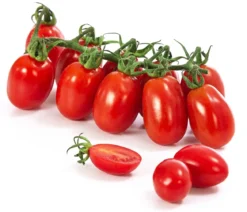 Dehner Gourmet Garten Datteltomate, veredelt