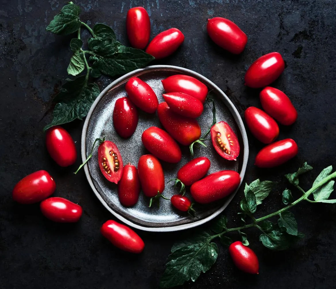 Dehner Gourmet Garten Datteltomate, veredelt