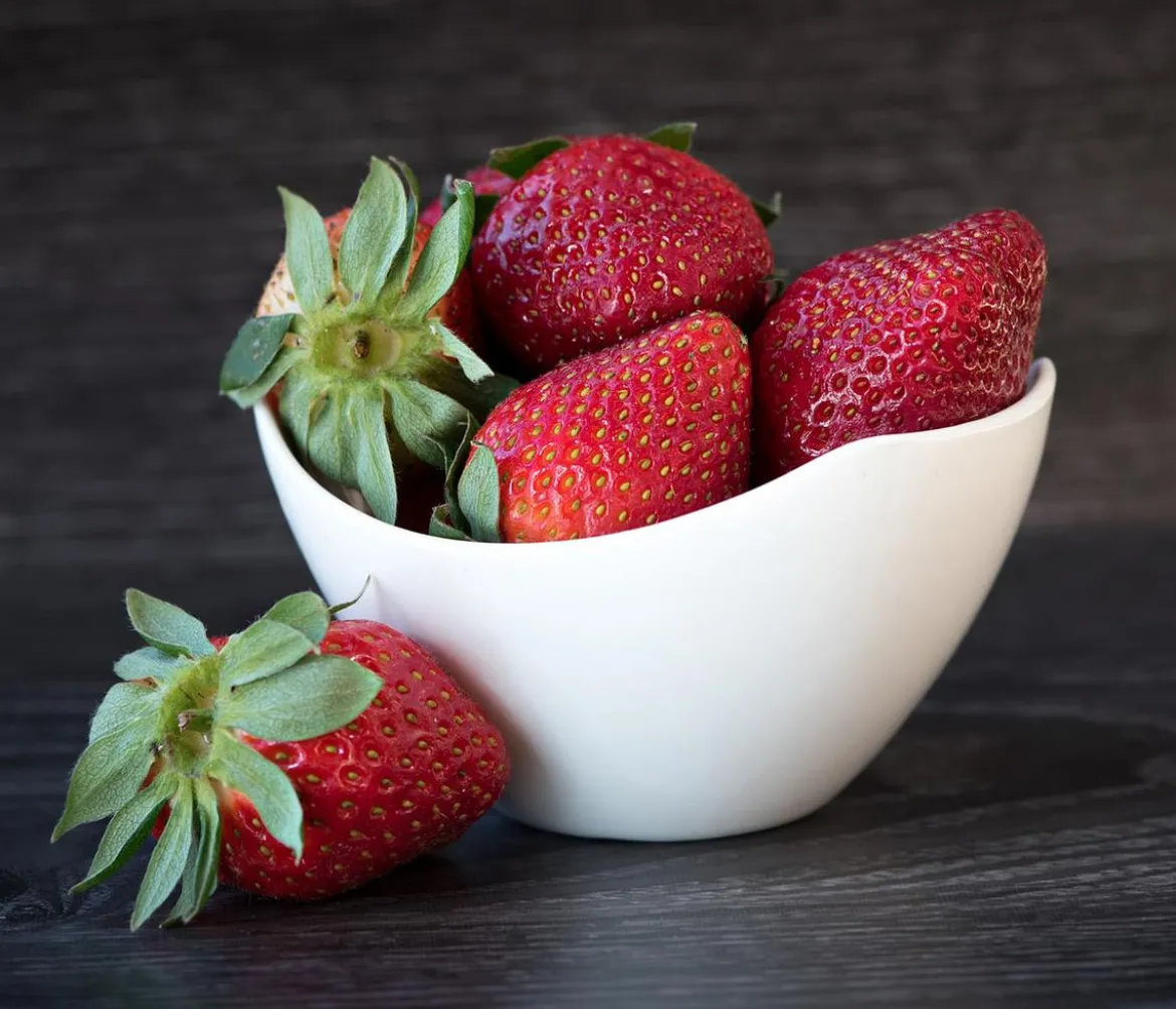 Dehner Gourmet Garten Erdbeere 'Mara des Bois'