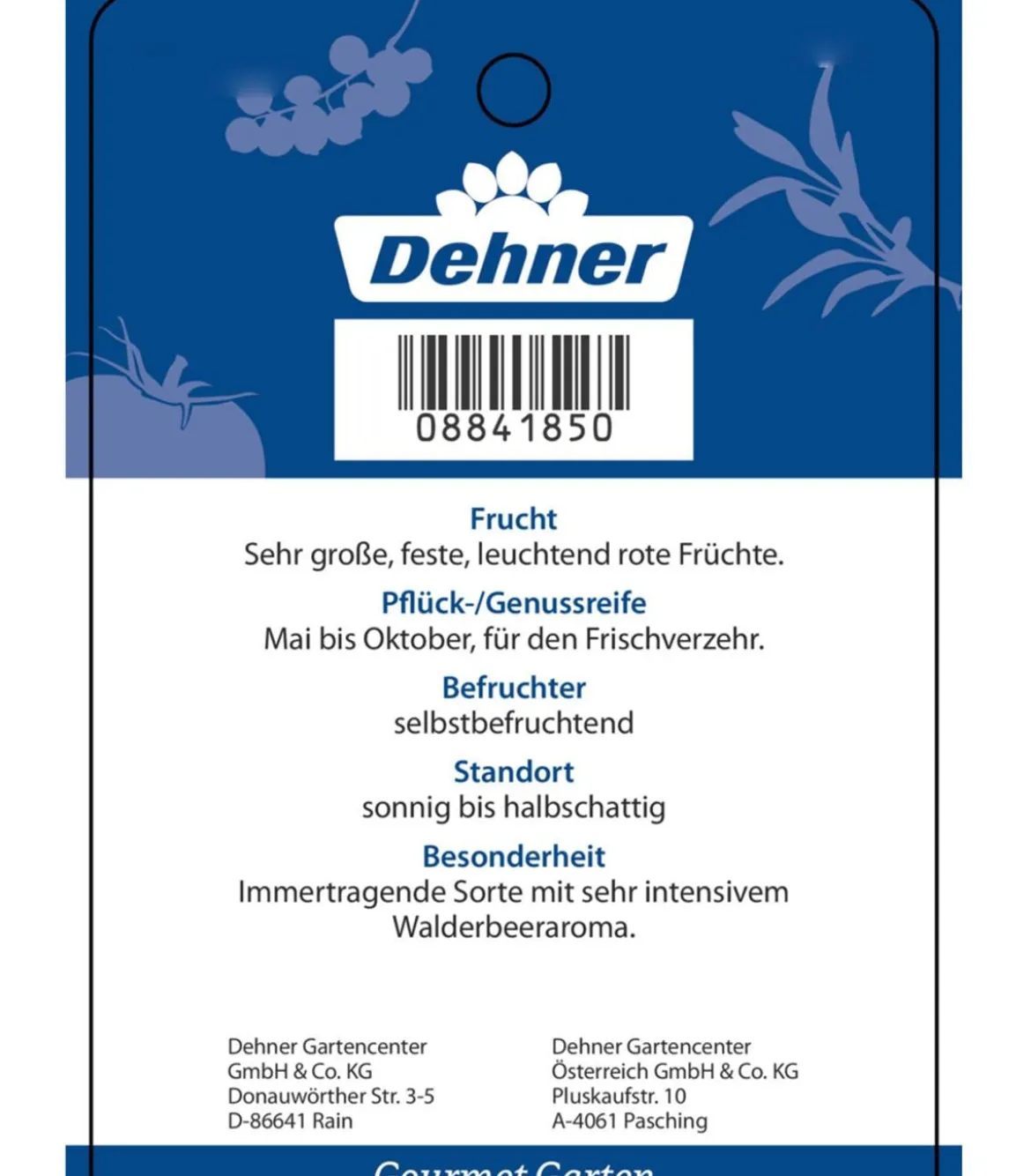 Dehner Gourmet Garten Erdbeere 'Mara des bois'